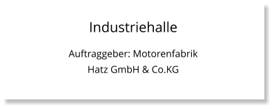 Industriehalle Auftraggeber: Motorenfabrik Hatz GmbH & Co.KG